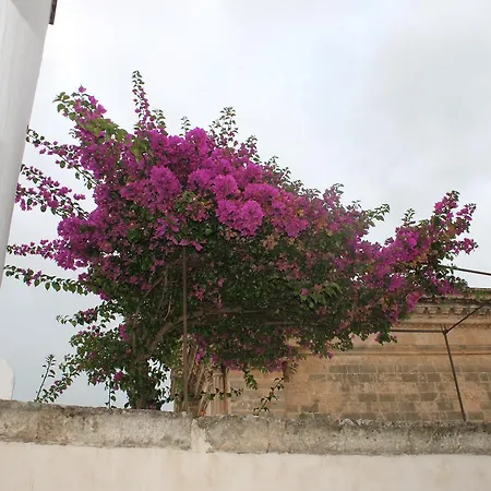 Charme Dimora Quarta Bed & Breakfast